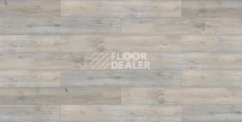 Evofloor Life Click 4.2мм Дуб Таити фото 3 | FLOORDEALER
