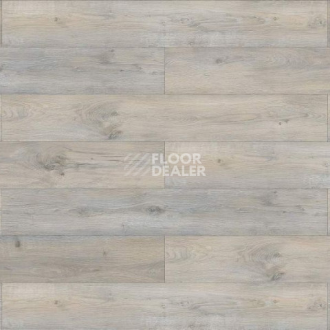 Evofloor Life Click 4.2мм Дуб Таити фото 3 | FLOORDEALER