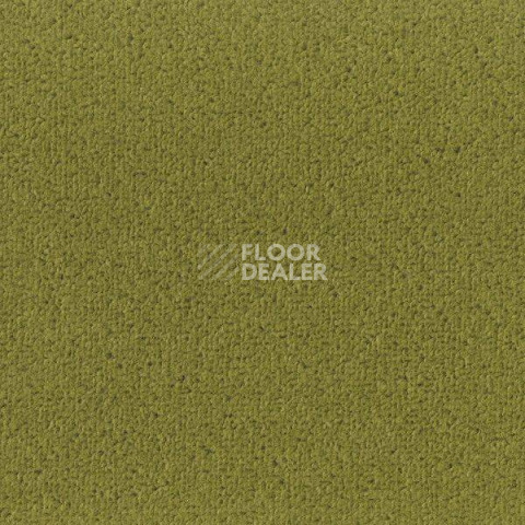 Ковролин Big Fancy 235 фото 1 | FLOORDEALER