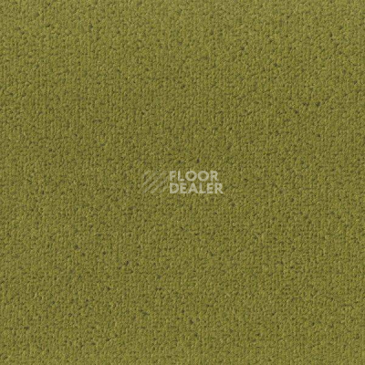 Ковролин Big Fancy 235 фото 1 | FLOORDEALER