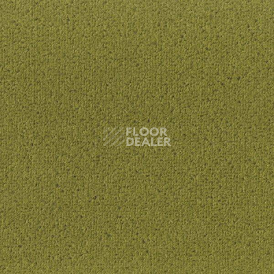 Ковролин Big Fancy 235 фото 1 | FLOORDEALER