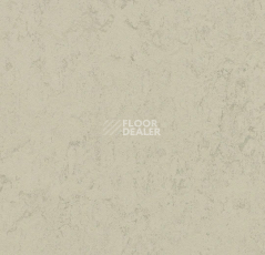 Линолеум Forbo Marmoleum Solid Concrete 3757 Pluto фото 1 | FLOORDEALER