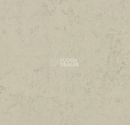 Линолеум Forbo Marmoleum Solid Concrete 3757 Pluto фото 1 | FLOORDEALER