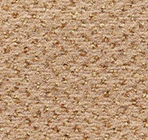 Ковролин Condor Carpets Argus 145 фото 1 | FLOORDEALER