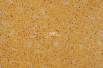 Tarkett Acczent Pro Aspect 7 фото 1 | FLOORDEALER