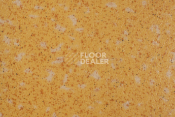 Линолеум Tarkett Acczent Pro Aspect 7 фото 1 | FLOORDEALER