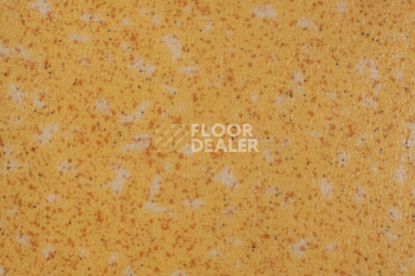 Линолеум Tarkett Acczent Pro Aspect 7 фото 1 | FLOORDEALER