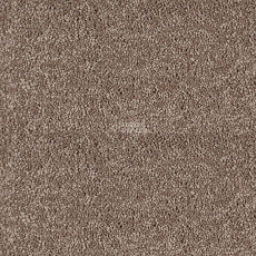 Sintelon Sensa 03868 фото 1 | FLOORDEALER