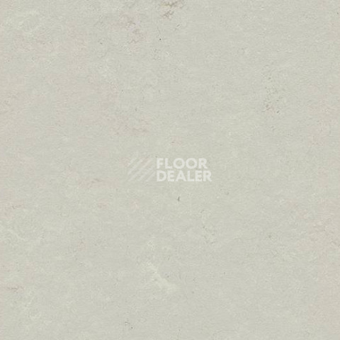 Кварцвиниловые полы Forbo Marmoleum Modular Shade 3716 фото 1 | FLOORDEALER