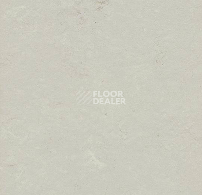 Кварцвиниловые полы Forbo Marmoleum Modular Shade 3716 фото 1 | FLOORDEALER