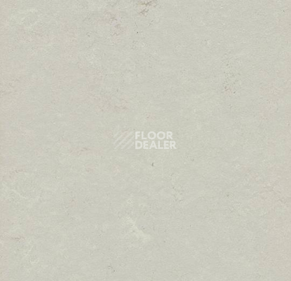 Кварцвиниловые полы Marmoleum Modular Shade 3716 фото 1 | FLOORDEALER