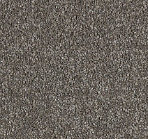 Ковролин Lano Soft Distinction 212 фото 1 | FLOORDEALER