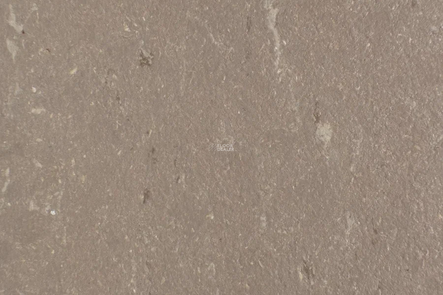 Forbo Marmoleum Solid Piano 3631-363135 otter фото 2 | FLOORDEALER