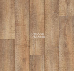 Линолеум Forbo Eternal Original 10562 real oak фото 1 | FLOORDEALER