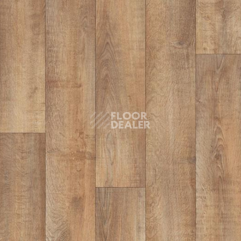 Линолеум Forbo Eternal Original 10562 real oak фото 1 | FLOORDEALER