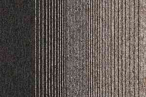 Ковровая плитка Interface Employ Loop/Lines Lines 4223001 фото  | FLOORDEALER