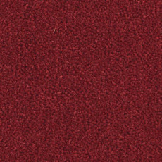Balsan Majestic 585 фото 1 | FLOORDEALER