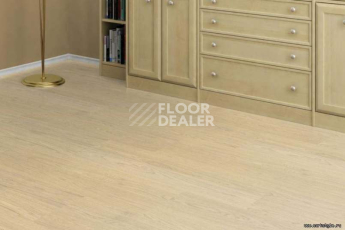 Wood замковое OAK CREME фото 2 | FLOORDEALER