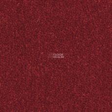 Balsan Majestic 585 фото 1 | FLOORDEALER