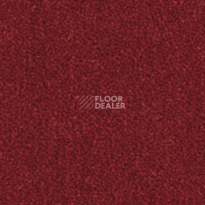 Ковролин Balsan Majestic 585 фото 1 | FLOORDEALER