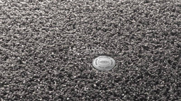 Ковролин Vorwerk Superior 1041 Vorwerk 5x68 фото 1 | FLOORDEALER