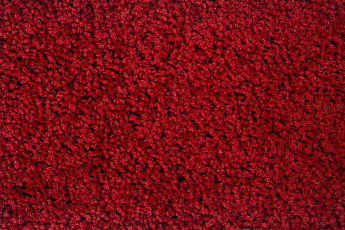 Ковролин Haima Stepway n 5023 фото 1 | FLOORDEALER