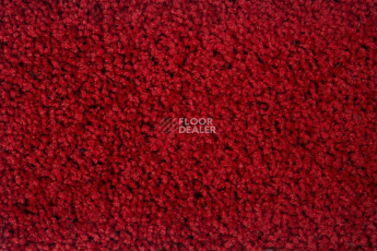 Haima Stepway n 5023 фото 1 | FLOORDEALER