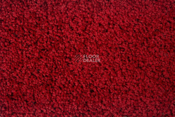 Ковролин Haima Stepway n 5023 фото 1 | FLOORDEALER