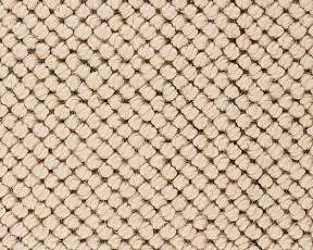 Best Wool Pure Venus 111 фото 1 | FLOORDEALER