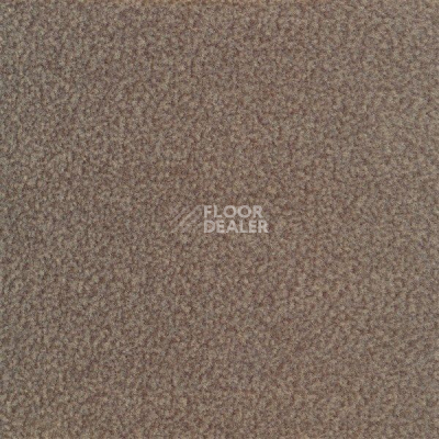 Ковролин Sintelon Velveto 10412 фото 1 | FLOORDEALER