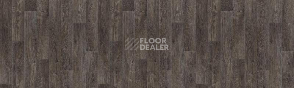 Линолеум Tarkett Delta OSTIN5M фото 1 | FLOORDEALER
