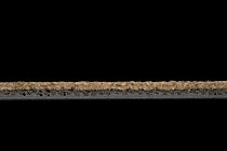 Standard Carpets Spectrum sm 595 фото 4 | FLOORDEALER