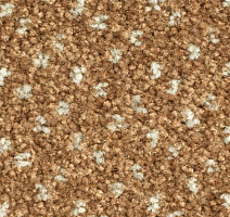 Ковролин Balsan Capitol Capitol 630 фото 1 | FLOORDEALER