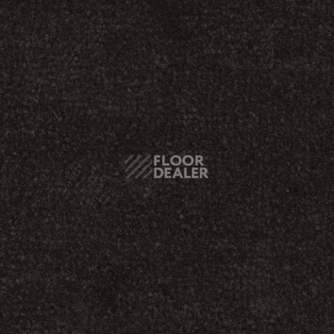 Ковролин Дюна Тафт Venetto 874 фото 1 | FLOORDEALER