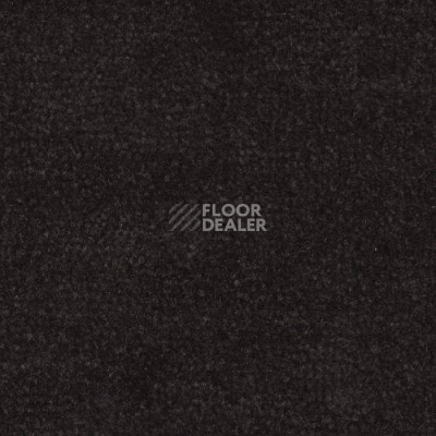 Ковролин Дюна Тафт Venetto 874 фото 1 | FLOORDEALER