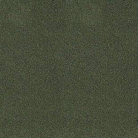 Desso Asteranne 7922 фото 1 | FLOORDEALER