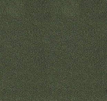 Ковролин Desso Asteranne 7922 фото 1 | FLOORDEALER