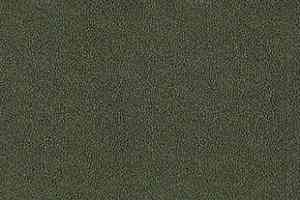 Ковролин Desso Asteranne 7922 фото  | FLOORDEALER