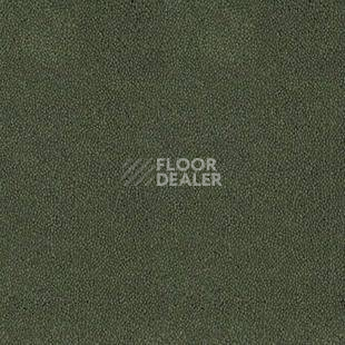 Ковролин Desso Asteranne 7922 фото 1 | FLOORDEALER