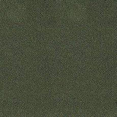 Ковролин Desso Asteranne 7922 фото 1 | FLOORDEALER