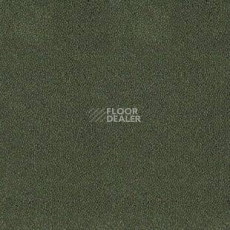 Ковролин Desso Asteranne 7922 фото 1 | FLOORDEALER