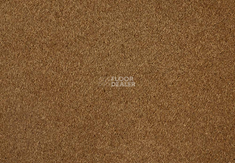 Ковролин Lano Satine Nova 371 Gold Leaf фото 1 | FLOORDEALER