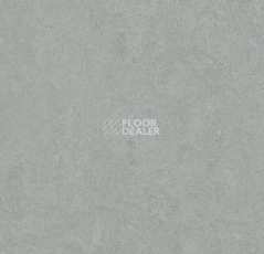 Линолеум Forbo Marmoleum Decibel 388935 cinder фото 1 | FLOORDEALER