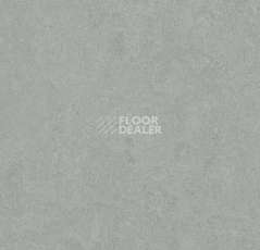 Линолеум Forbo Marmoleum Decibel 388935 cinder фото 1 | FLOORDEALER