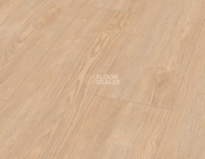 Ламинат My Floor Chalet 10мм m1024 Дуб Руби Серебристый фото 1 | FLOORDEALER