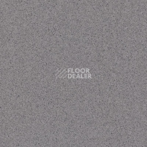 Линолеум Tarkett Primo Plus 314 фото 1 | FLOORDEALER