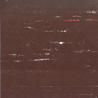 Кварцвиниловые полы Polyflex Plus PU 6300 фото 1 | FLOORDEALER