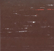 Кварцвиниловые полы Polyflex Plus PU 6300 фото 1 | FLOORDEALER