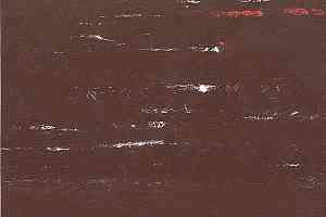 Кварцвиниловые полы Polyflex Plus PU 6300 фото  | FLOORDEALER