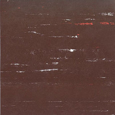 Кварцвиниловые полы Polyflex Plus PU 6300 фото 1 | FLOORDEALER